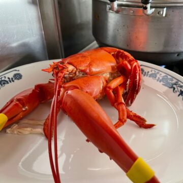 Steamed Lobster